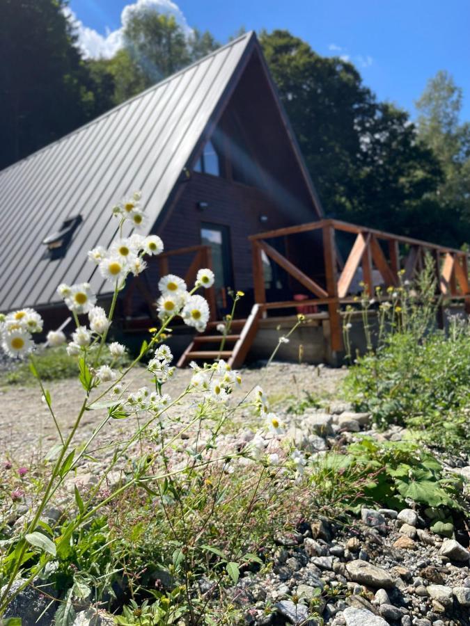 Wild Cabin Malaia Esterno foto