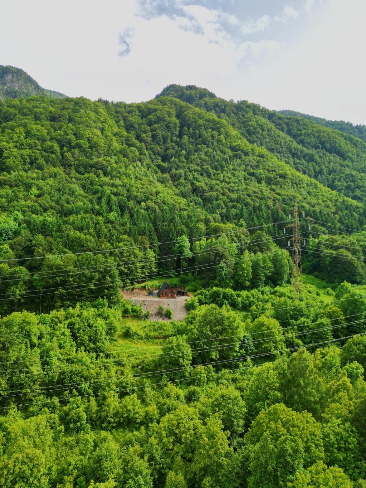 Wild Cabin Malaia Esterno foto
